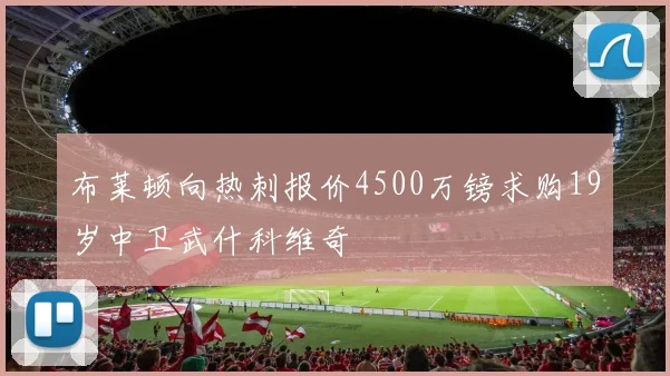 布莱顿向热刺报价4500万镑求购19岁中卫武什科维奇
